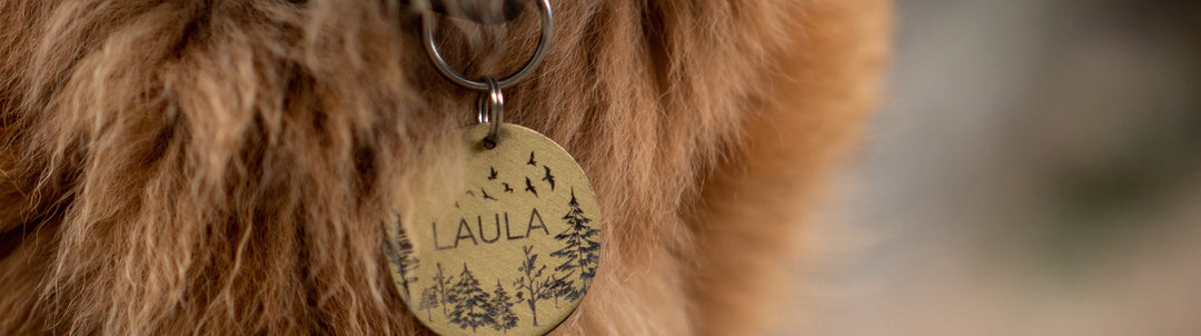 Personalized dog collar: with name and phone number